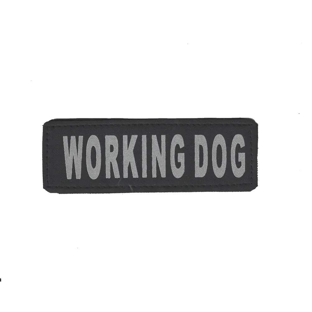 Removable Reflective Patches (Set of 2)