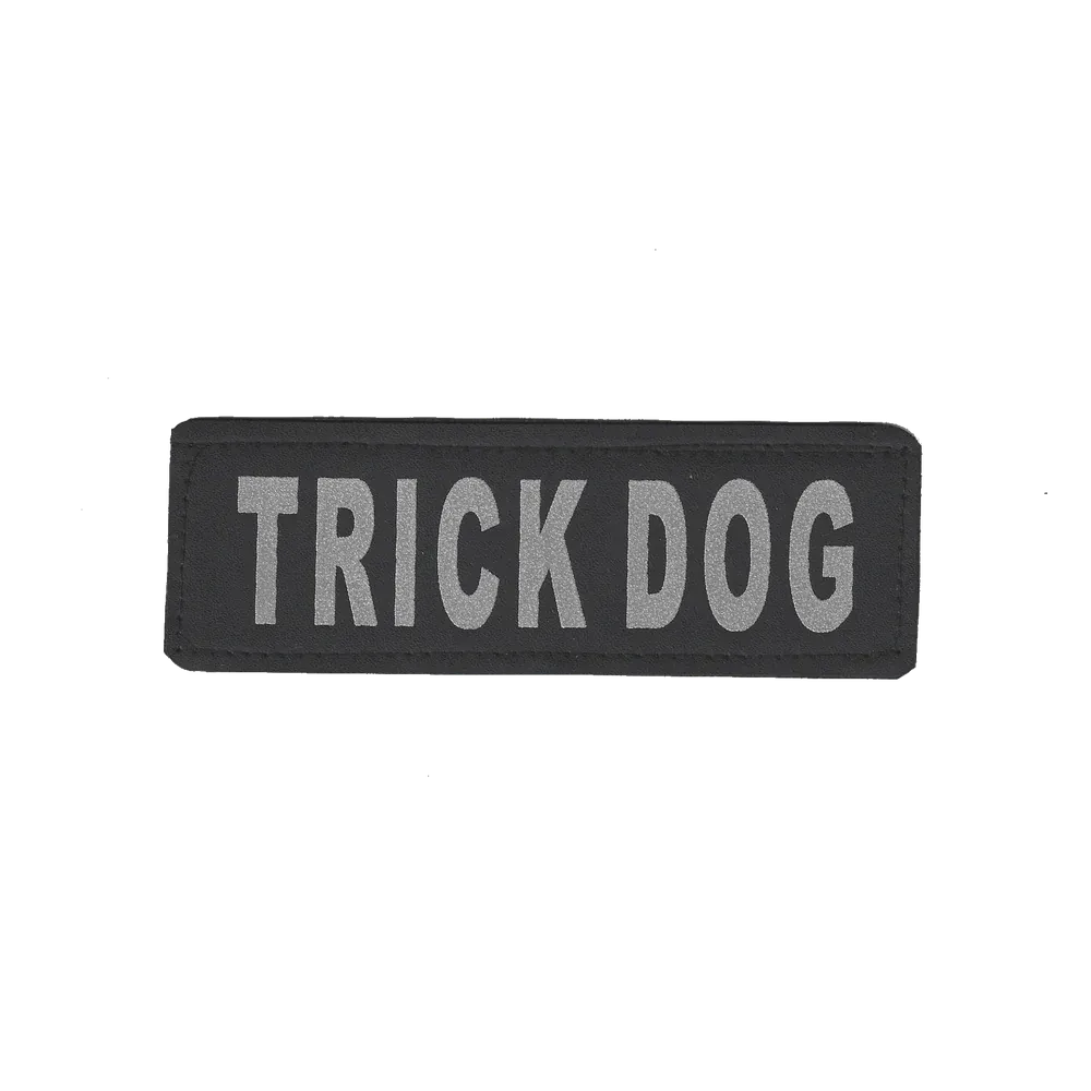Removable Reflective Patches (Set of 2)