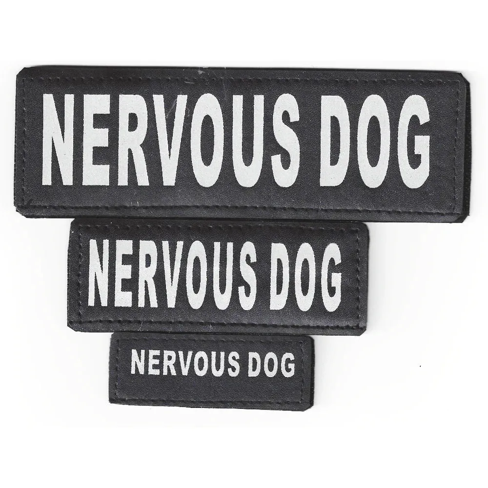 Removable Reflective Patches (Set of 2)
